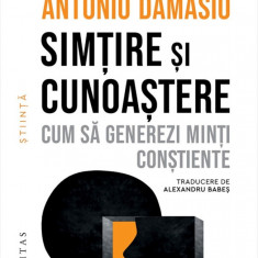 Simtire si cunoastere - Cum sa generezi minti constiente