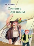 Comoara din insula. Seria Ce ne invata/***