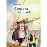 Comoara din insula. Seria Ce ne invata/***