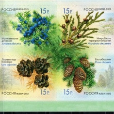 RUSIA 2013 - FLORA - CONIFERE- serie 4 timbre autoadezive in bloc Mi.1914-17 MNH