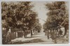 VASLUI , BULEVARDUL KOGALNICEANU , CARTE POSTALA , 1929