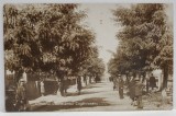 VASLUI , BULEVARDUL KOGALNICEANU , CARTE POSTALA , 1929