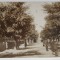VASLUI , BULEVARDUL KOGALNICEANU , CARTE POSTALA , 1929