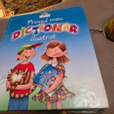 Primul meu dictionar ilustrat