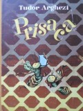 PRISACA. ILUSTRATIILE DE MARCELA CORDESCU-TUDOR ARGHEZI-268207