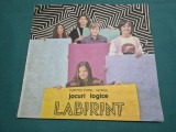 LABIRINT * JOCURI LOGICE * DUMITRU VIOREL -GEORGE * 1989 * 3 4 4