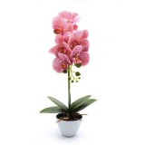 Orhidee artificiala siliconata cu aspect 100% natural, in bol de ceramica alb