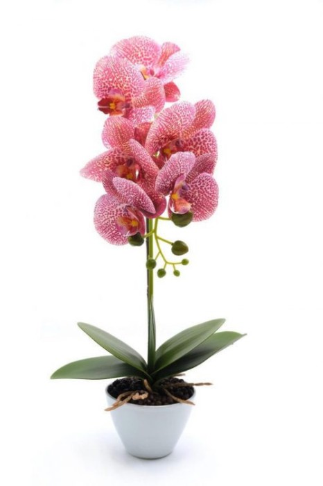 Orhidee artificiala siliconata cu aspect 100% natural, in bol de ceramica alb