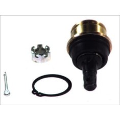 PIVOT SUPERIOR/INFERIOR CFMOTO SSV / UTV