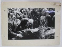 RADU CAMPEANU , PRESEDINTELE P.N.L. , DEPUNAND O COROANA DE FLORI , TIMISOARA , FOTOGRAFIE , 1990