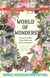 World of Wonder: Essays