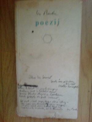 e0b Poezii - Ion Barbu foto