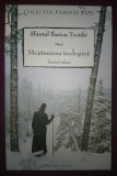 ILARION TROITKI - MOSTENIREA TEOLOGICA * SCRIERI ALESE
