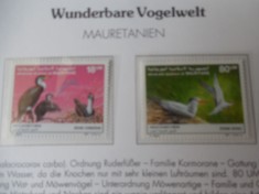 Mauritania-Fauna ,pasari -serie completa-nestampilate foto