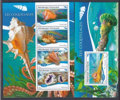 Togo 2015 - Fauna Marina - SCOICI - BL + KB - MNH foto