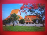 HOPCT 5047 PHANUNCHERNG -THAILANDA-ASIA-NECIRCULATA