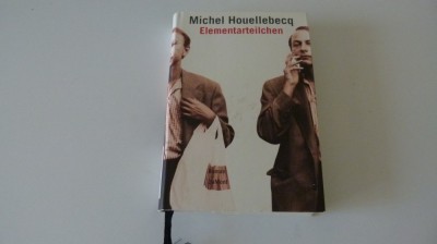 elementarteilchen - houellebecq foto