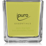 Ipuro Essentials Lime Light lum&acirc;nare parfumată 125 g