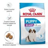 Royal Canin Giant Puppy hrana uscata caine junior, 3.5 kg