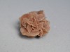 Trandafirul Desertului 7x6x6 cm - Mineral Roci Ornament Colectie