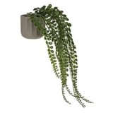 Ghiveci Decorativi din Plastic Taupe cu Plantă Artificială Curgătoare, CMCLASS