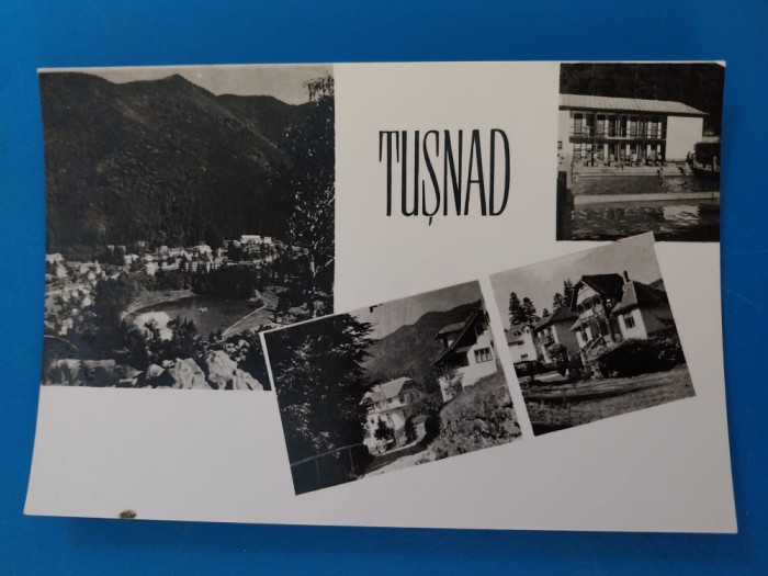 CPIB 23325 CARTE POSTALA - TUSNAD, MOZAIC, RPR, NECIRCULATA