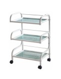 Ucenic cosmetica Silver