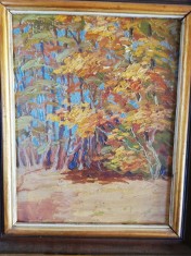Tablou peisaj, ulei/carton, 50x35 cm, inramat, posibil Eugen Tautu, nesemnat