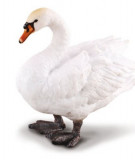 Figurina Lebada - Gat Curbat si Penaj realist, Collecta