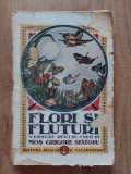Flori si fluturi Versuri pentru copii Mos Grigore Sfatosu