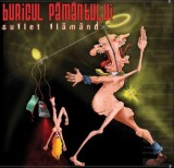 Suflet flamand | Buricul Pamantului, Rock