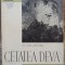 Cetatea Deva - Oct. Floca, Ben Bassa