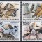 Burundi - Pasari - VULTURI - MNH