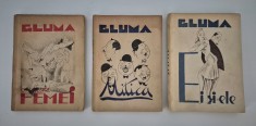 Carte veche Biblioteca Gluma Trei volume Ilustratii