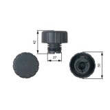 Gates buson, vas expansiune