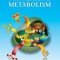 Navigating Metabolism