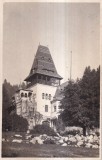 Cumpara ieftin Sinaia. Castelul Peles (circulata)