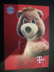 Bayern Munchen 2018-2019 - Berni (mascota), fotografie foto