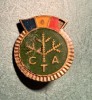 Insigna CTA varianta mica