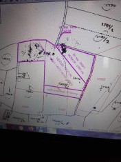 Terenuri Uileacu de munte foto