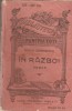 Duiliu Zamfirescu - In razboi