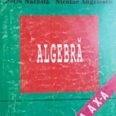 Algebra clasa a X-a - Petre Nachila, Nicolae Angelescu