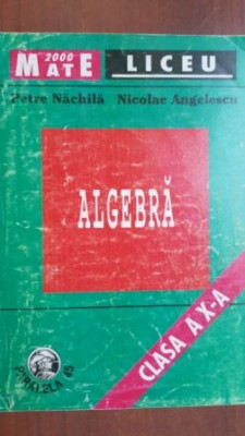 Algebra clasa a X-a - Petre Nachila, Nicolae Angelescu foto