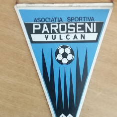 M3 C7 - Tematica cluburi sportive - Asociatia sportiva Paroseni Vulcan