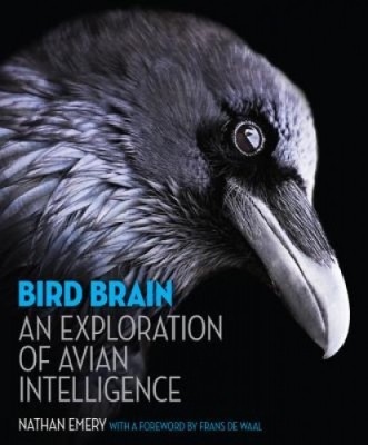 Bird Brain: An Exploration of Avian Intelligence foto