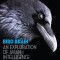 Bird Brain: An Exploration of Avian Intelligence
