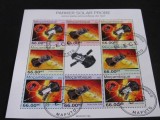 Bloc Filatelic Mozambique 2022 &ndash; Parker Solar Probe, Explorare Solară