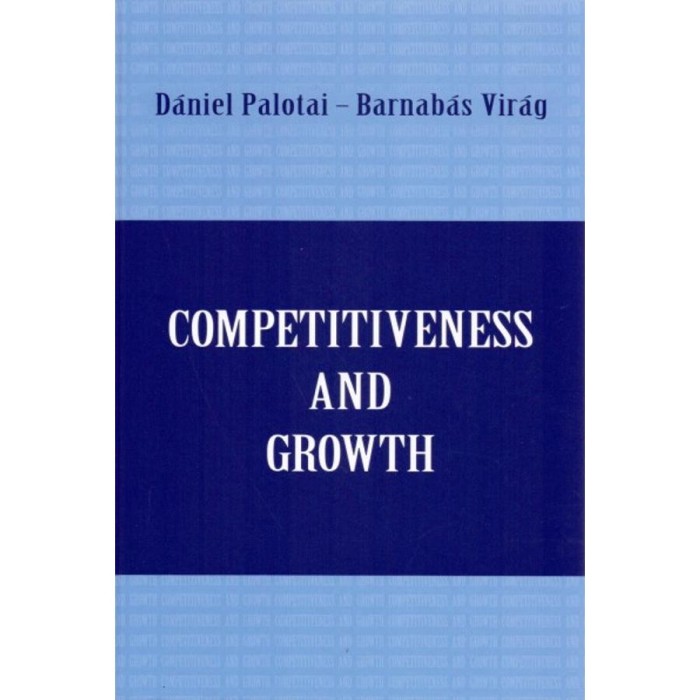 Competitiveness and Growth - The road to sustainable economic convergence - Palotai D&aacute;niel