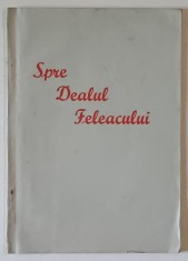 SPRE DEALUL FELEACULUI , EXCURSIA ABSOLVENTILOR LICEULUI GH. LAZAR DIN SIBIU , SERIA 1943 EROU PROFESOR EMIL , 17 - 19 APRILIE 1943 , 1943