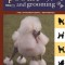 Poodle Clipping and Grooming: The International Reference